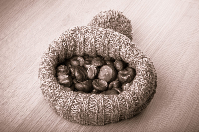 waste disposal garden waste